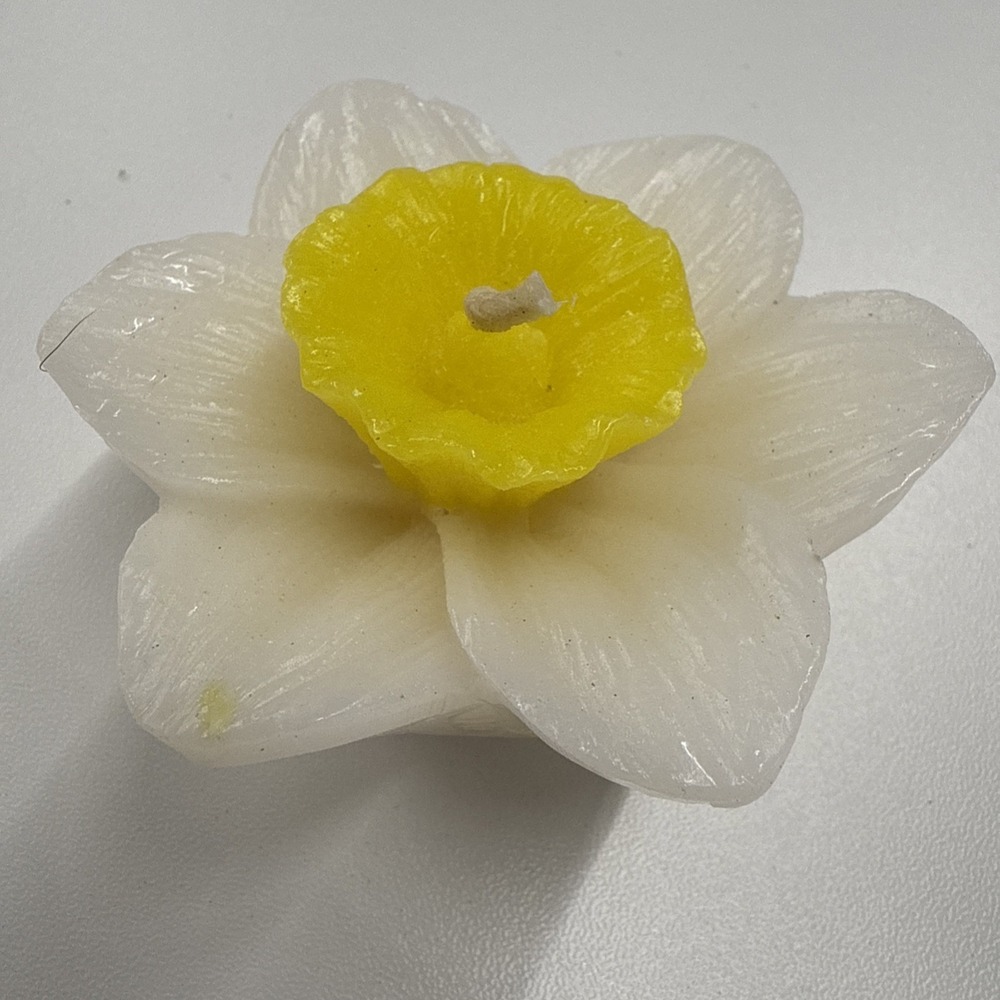 Set Of 12 Beautiful Daffodil Flower-Shaped 2.5" Floating Candles New In Box